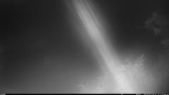 CY95