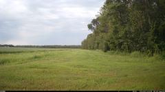 CY95