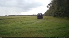 CY95