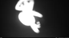 CY95