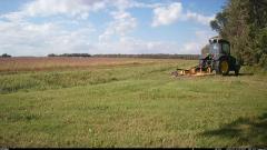 CY95