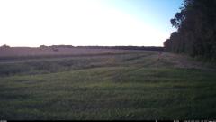 CY95