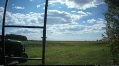 CY95