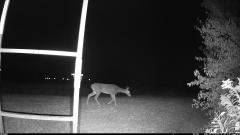 CY95