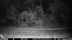 CY95