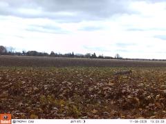 M2E147A1L205-0.0-0.0