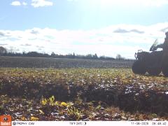 M2E183A1L248-0.0-0.0