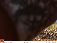 M2E137A1L195-0.0-0.0