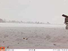 M2E157A1L214-0.0-0.0