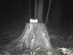 MIDDLE DETECTION