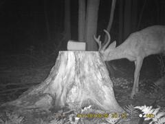 SIDE DETECTION