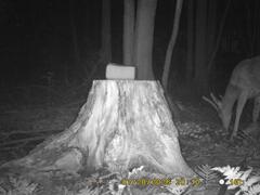 MIDDLE DETECTION