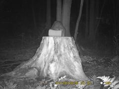 MIDDLE DETECTION