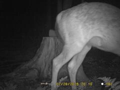 SIDE DETECTION