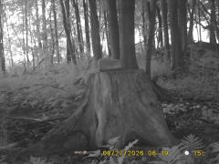MIDDLE DETECTION