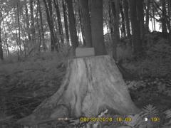 MIDDLE DETECTION