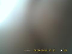 3-Aout-28