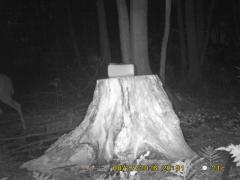 MIDDLE DETECTION