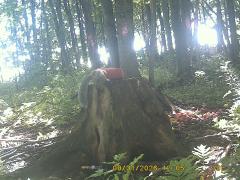 4-Sept-04
