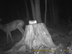MIDDLE DETECTION