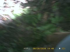 SIDE DETECTION