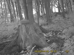 MIDDLE DETECTION