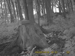 MIDDLE DETECTION