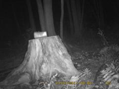 MIDDLE DETECTION