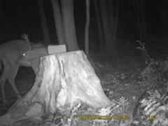 MIDDLE DETECTION