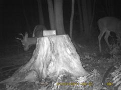 MIDDLE DETECTION