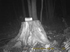 MIDDLE DETECTION