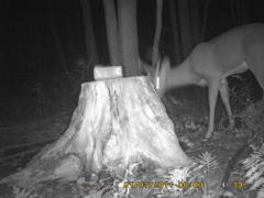 MIDDLE DETECTION