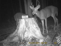 MIDDLE DETECTION