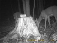 MIDDLE DETECTION