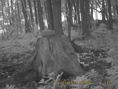 MIDDLE DETECTION