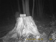 MIDDLE DETECTION