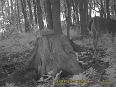 MIDDLE DETECTION