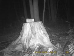 MIDDLE DETECTION