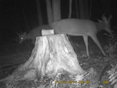 MIDDLE DETECTION