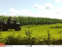 M2E172A1L229-0.0-0.0