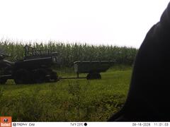 M2E169A1L226-0.0-0.0