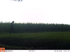 M2E126A1L179-0.0-0.0