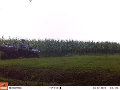 M2E105A1L146-0.0-0.0