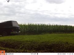 M2E167A1L224-0.0-0.0