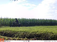 M2E179A1L236-0.0-0.0