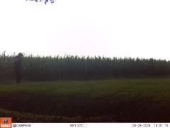 M2E126A1L179-0.0-0.0