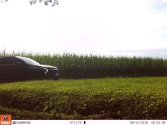 M2E174A1L231-0.0-0.0