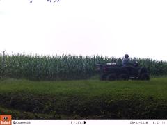 M2E105A1L146-0.0-0.0