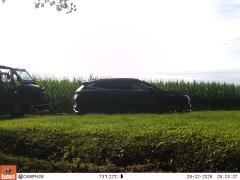 M2E174A1L231-0.0-0.0