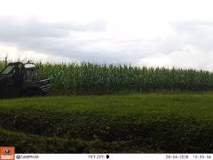 M2E142A1L200-0.0-0.0